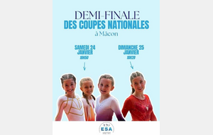 DEMI-FINALE DES COUPES NATIONALES