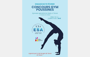GYM Concours poussins à TARARE