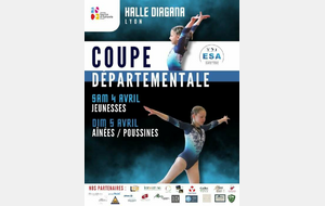 GYM COUPE DEPARTEMENTALE 2026 - LYON HALLE DIAGANA