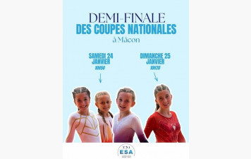 DEMI-FINALE DES COUPES NATIONALES