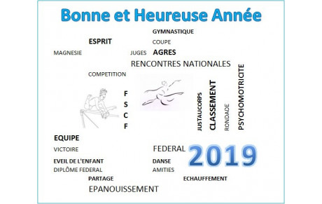 VOEUX 2019