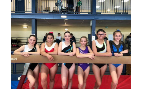 COMPETITION GYM 6EME DEGRE A FONTAINES LE 24/3/19 ET JEUX COLLECIFS POUR NOTRE SECTION EVEIL