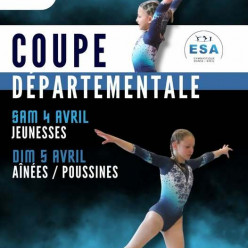 GYM COUPE DEPARTEMENTALE 2026 - LYON HALLE DIAGANA
